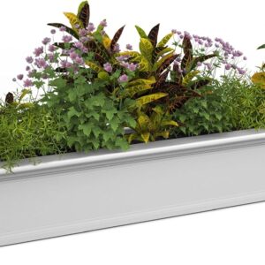 Mayne 4826-W Yorkshire Window Box, 6-Foot, White